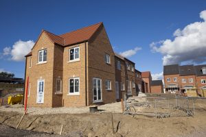 melton view 15 sm.jpg